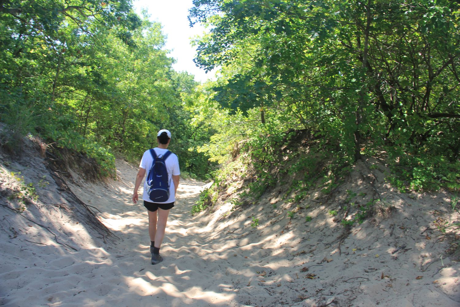 3 Dune Challenge Hike 